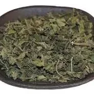 Brännässla